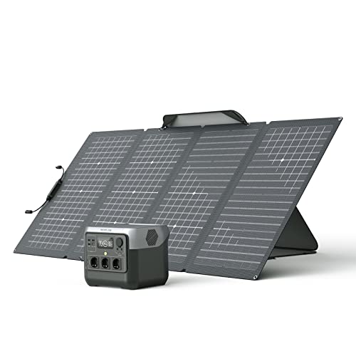 ECOFLOW Generador solar RIVER 2 Pro con panel solar 220 W, batería LiFePO4 de 768 Wh, 3 tomas CA de 300 W (máx 1600 W), estación de energía portátil de reserva para el hogar/exteriores/autocaravanas