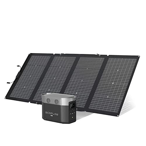 Generador solar Ecoflow DELTA Max (2000) de 2016Wh con panel solar de 220W, 4 salidas CA de 2400W (pico de 4600W), estación de energía portátil para apagones, acampadas, caravanas y emergencias