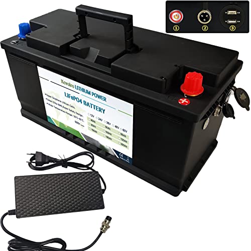 Batería LifePo4 de 12 V 100 Ah - hasta 7000 ciclos Profundos, BMS de Hierro y Litio para carros de Golf RV Solar Ocean Caravan y más Carreras - Cargadores incluidos.