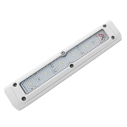 Dream Lighting Luz Toldo Exterior LED Estanca para Caravana Camper Autocaravana IP65 Luz de Porche 12volt 720LM Blanco Frío
